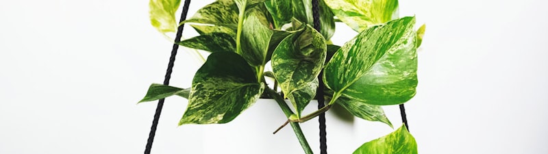 世界杯决赛比赛场馆内景